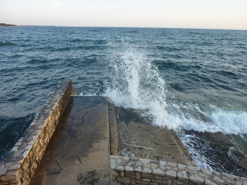 Novigrad Istria Studios Slavica חדר תמונה